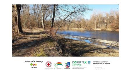 Regijska prireditev ob slovenskem Tednu boja proti raku »Evropski kodeks = manj raka« 38